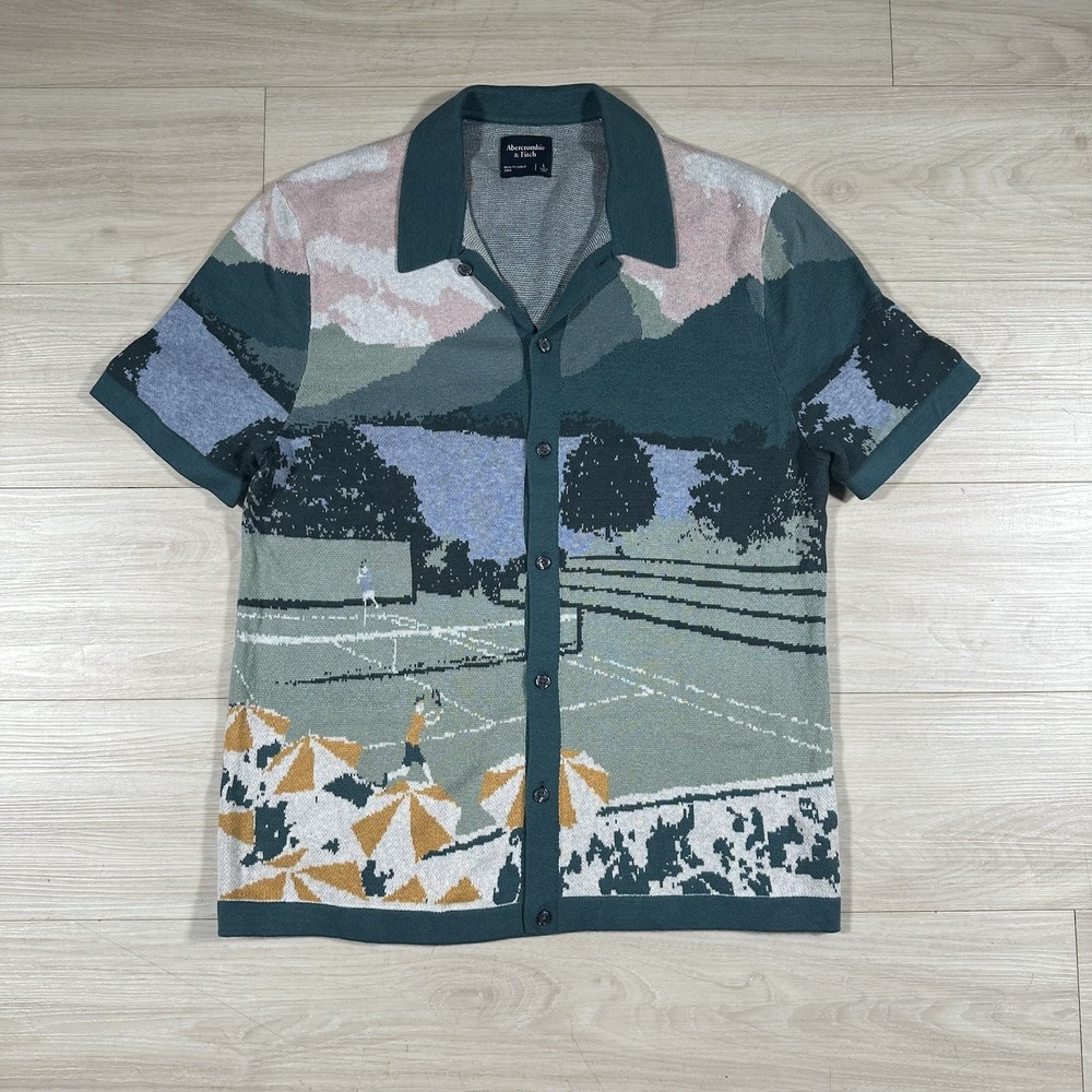 Abercrombie & Fitch Sweater Mens Sz L Blue Getaway Scenic Print Button Knit Polo